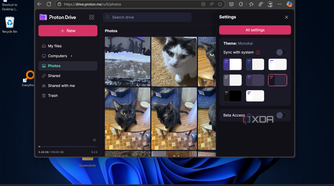 shows synced photos in proton drive web version