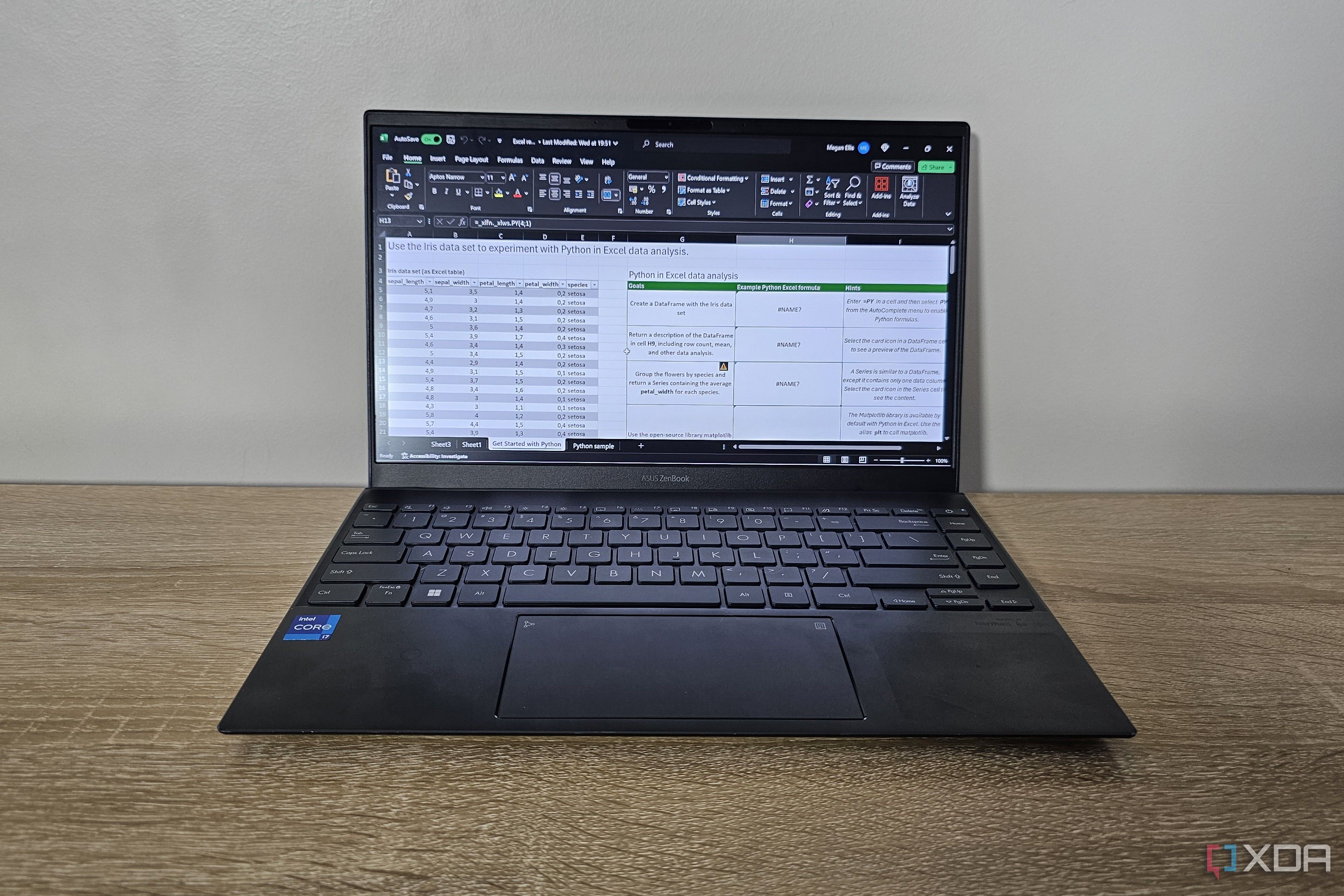 a worksheet with python in excel