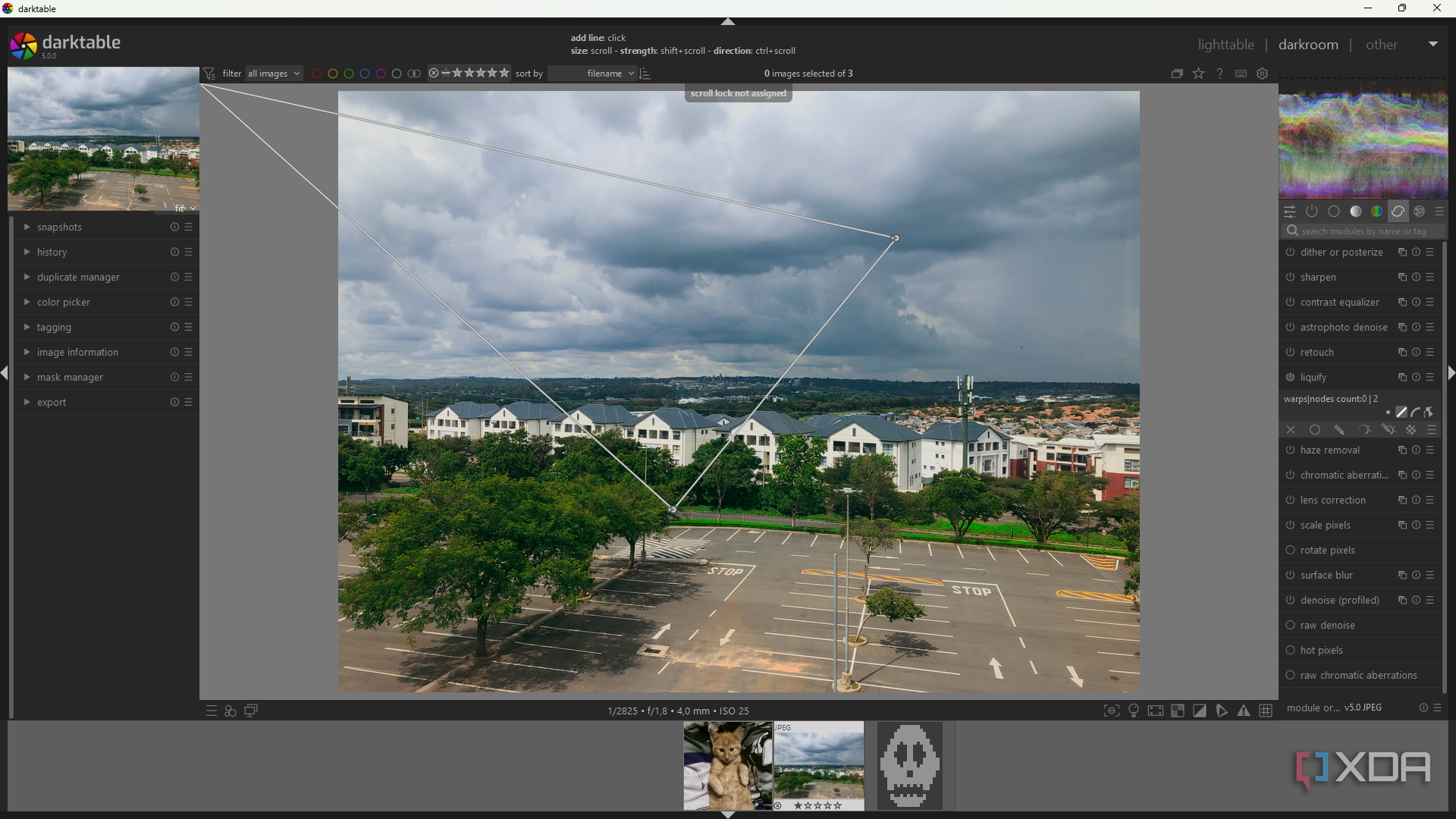 Darktable Liquify