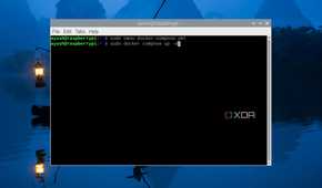 Running the docker compose up -d command