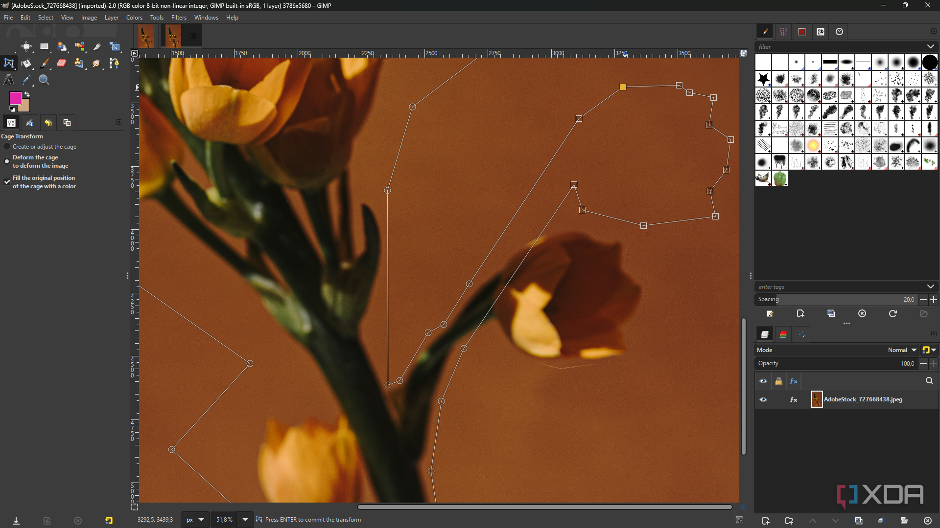 5 reasons why I'm moving my photo and video editing to free, open ...