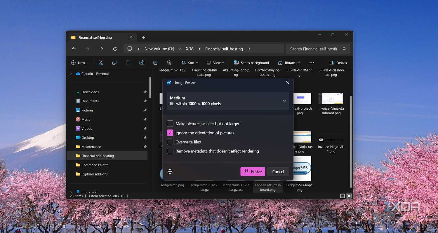 File Rizer I use these 5 File Explorer add-ons to make my life a lot easier on ...