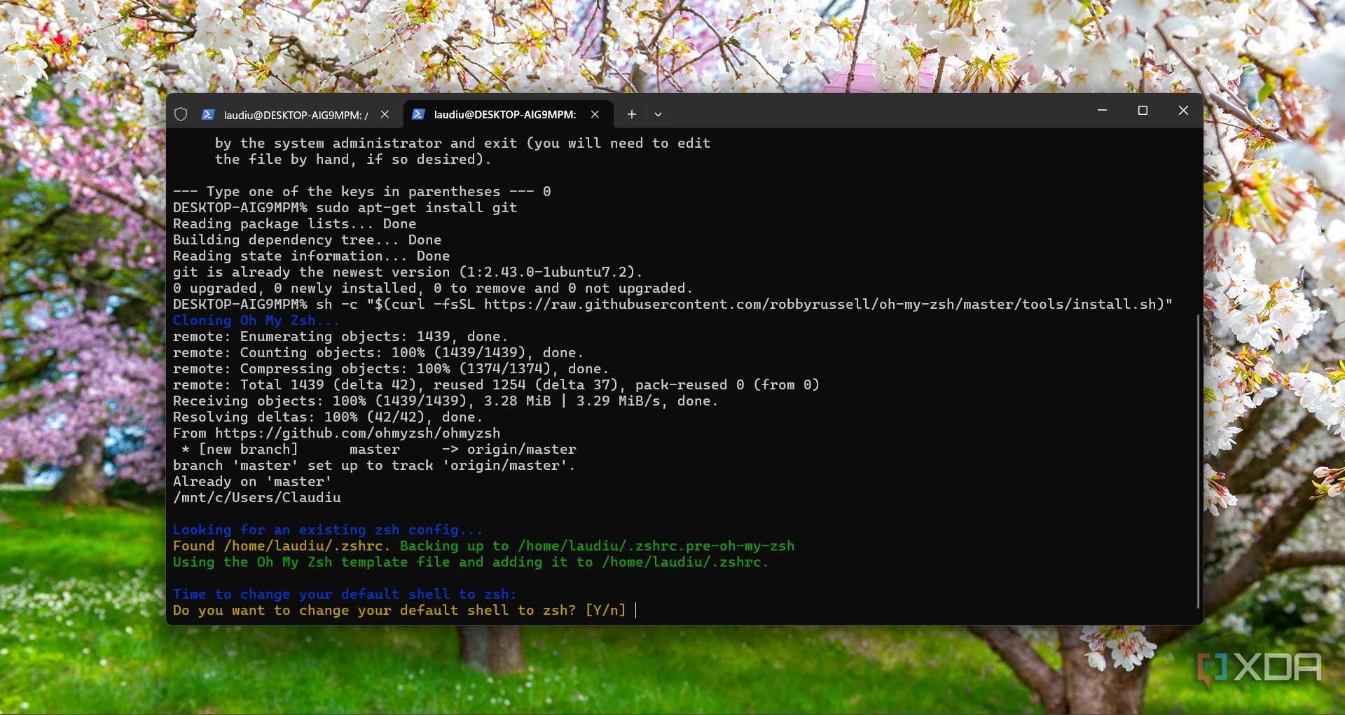 Installing Oh my ZSH on WSL