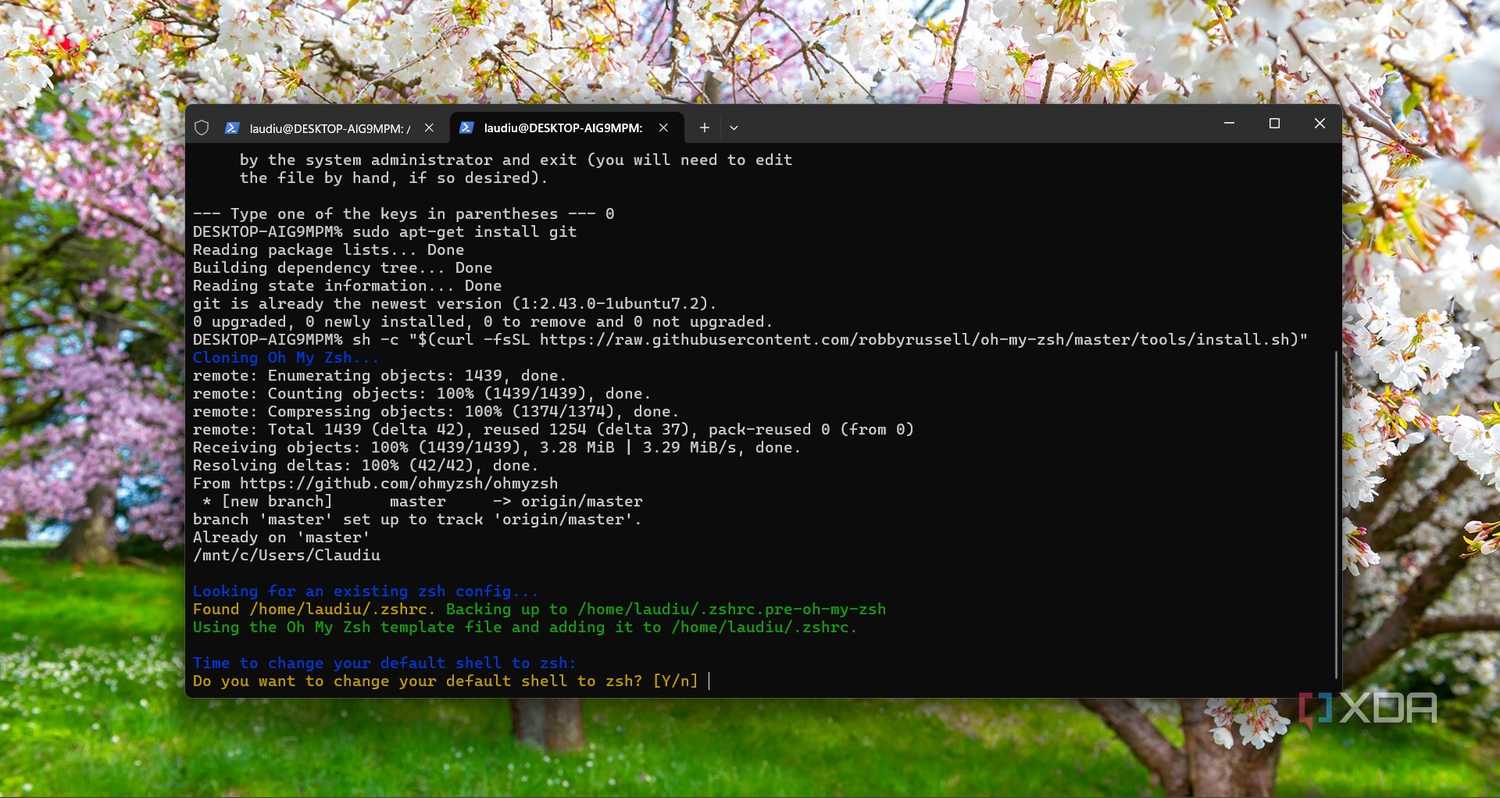 Installing Oh my ZSH on WSL