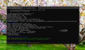Installing Oh my ZSH on WSL