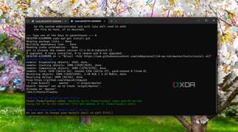 Installing Oh my ZSH on WSL