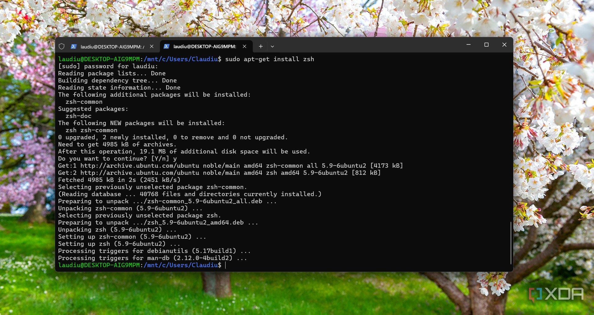 Installing ZSH on WSL