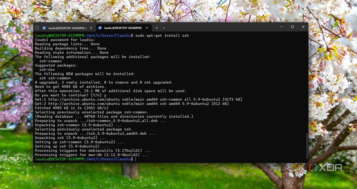 Installing ZSH on WSL