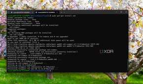 Installing ZSH on WSL