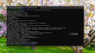 Installing ZSH on WSL