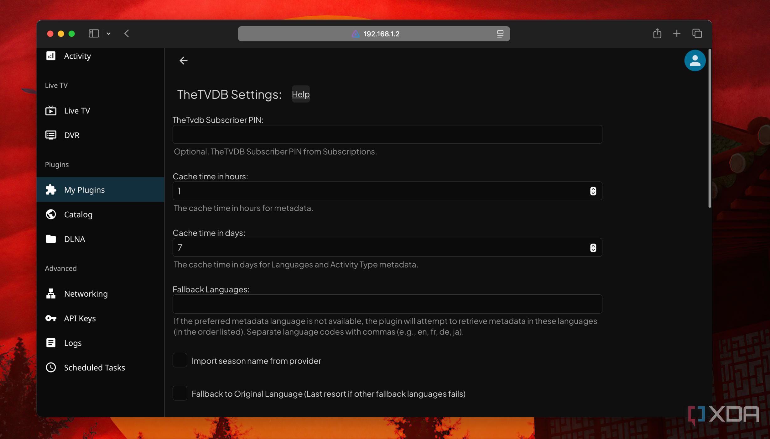 Make custom settings in Jellyfin plugin