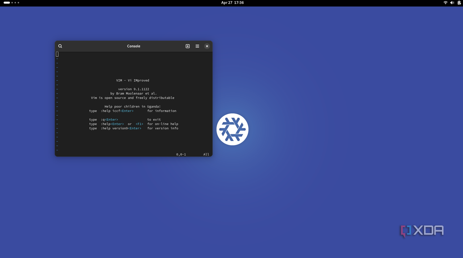Screenshot showing nixos console