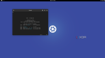 Screenshot showing nixos console