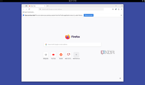 Firefox in Nixos