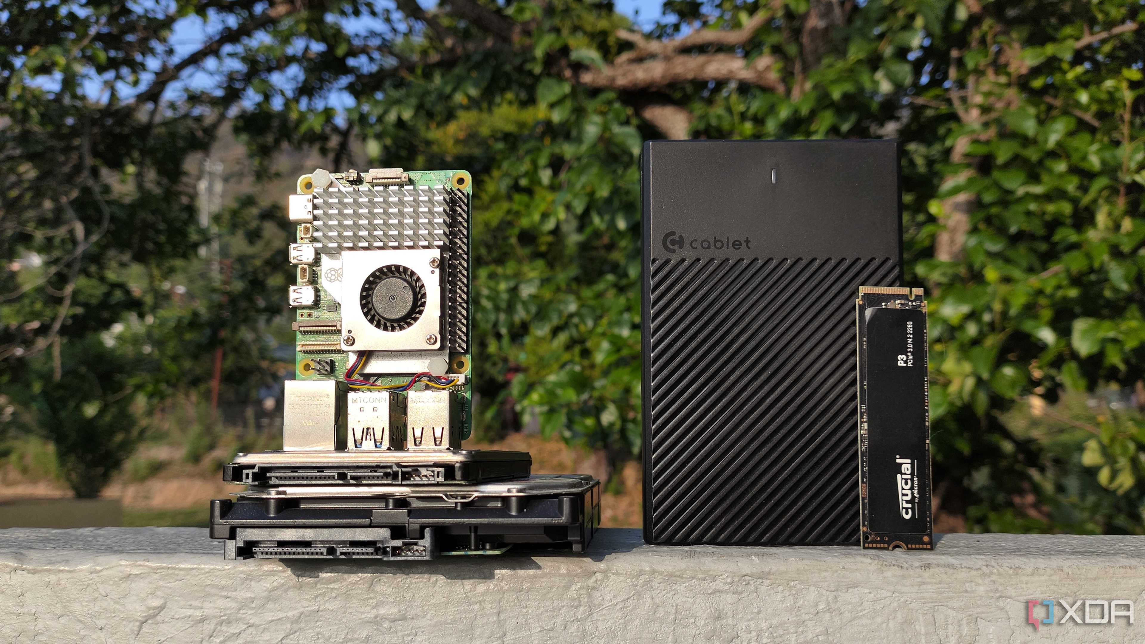 A Raspberry placed next to some storage drives