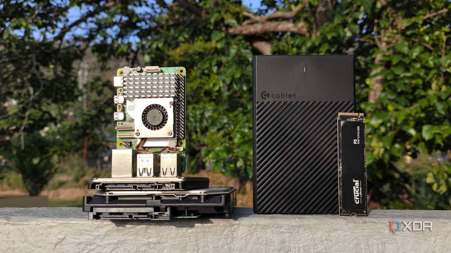 A Raspberry placed next to some storage drives