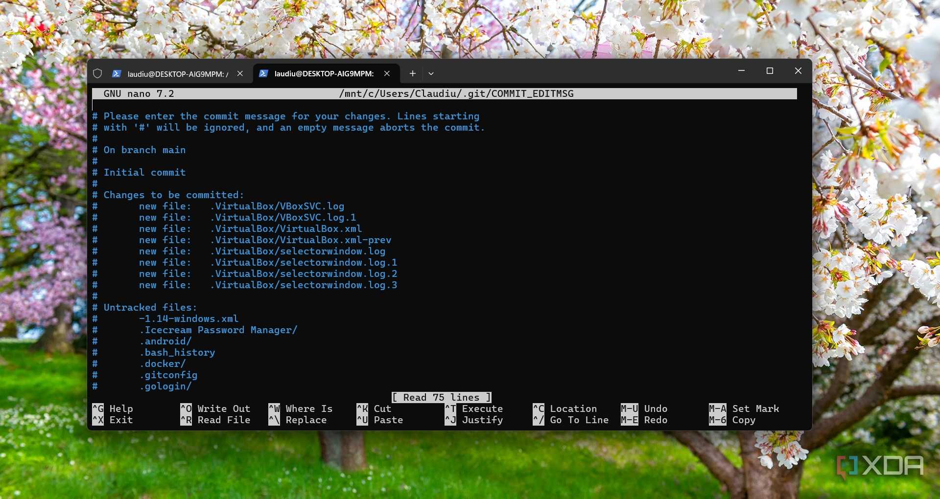 Running Git on Windows 11 on WSL