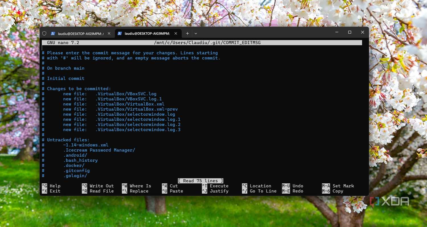 Running Git on Windows 11 on WSL