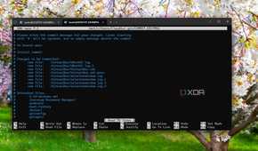 Running Git on Windows 11 on WSL