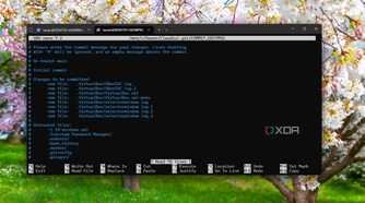 Running Git on Windows 11 on WSL