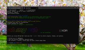 Running Oh my ZSH WSL