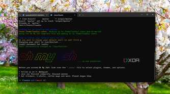 Running Oh my ZSH WSL