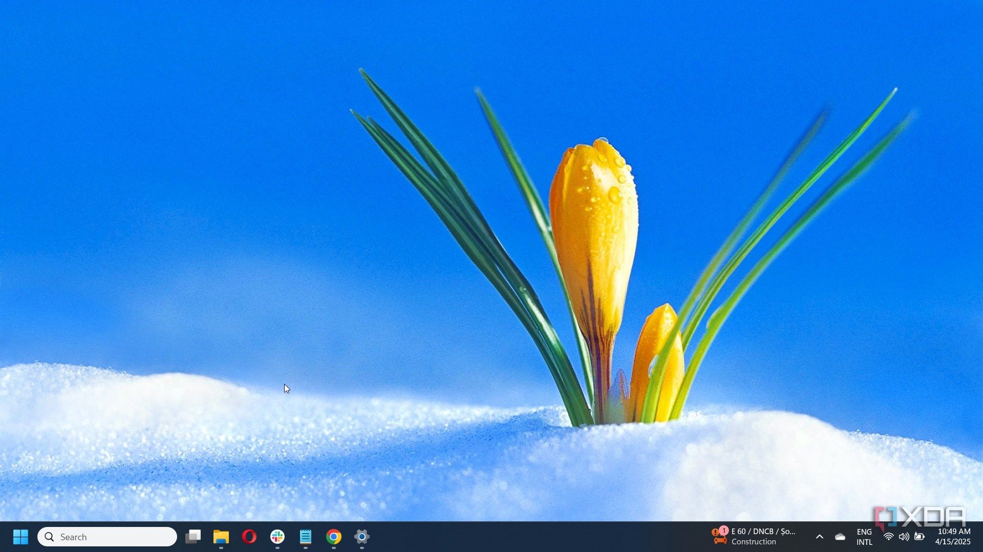 5 Easter and spring Windows 11 themes to enjoy your Holiday