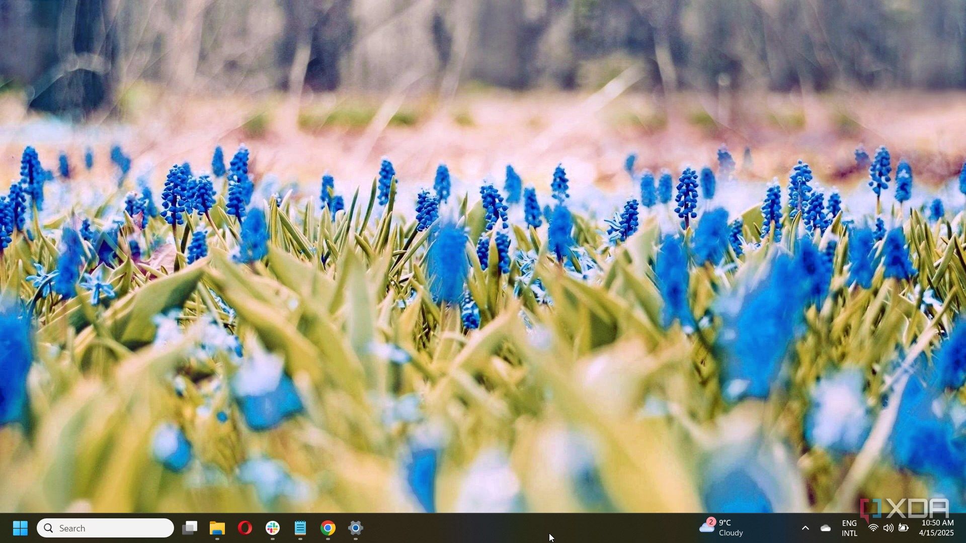 5 Easter and spring Windows 11 themes to enjoy your Holiday