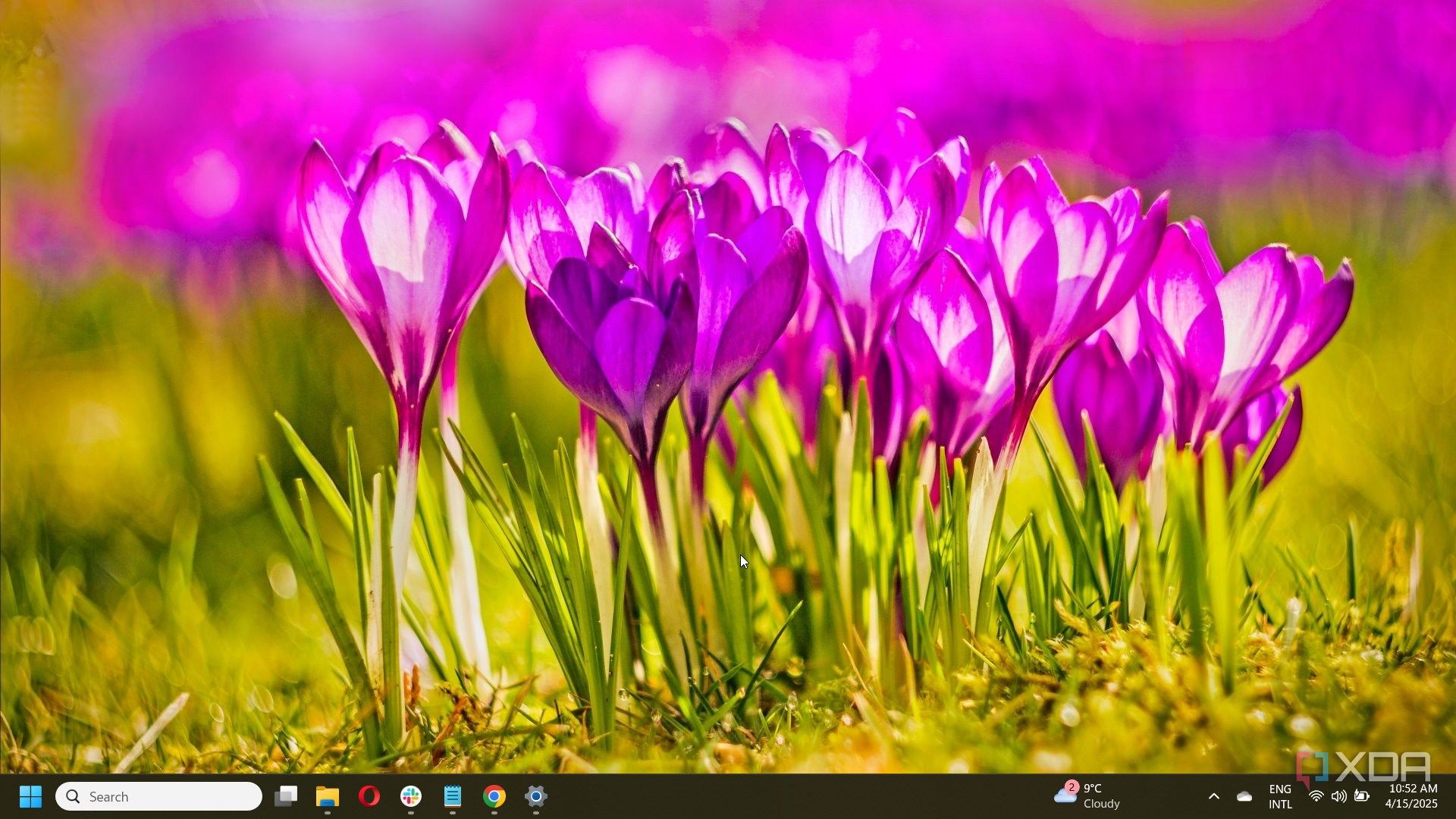 5 Easter and spring Windows 11 themes to enjoy your Holiday
