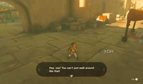 Link being arrested for not wearing a shirt.