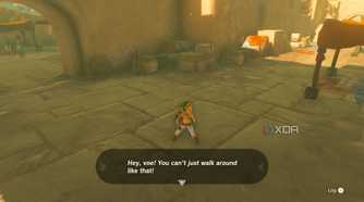 Link being arrested for not wearing a shirt.