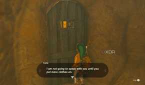 The Gerudo officer will not talk to Link until he puts a shirt on.