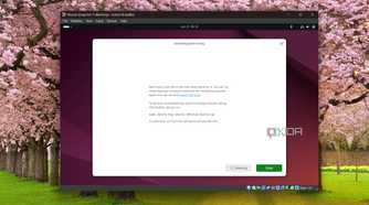 Screenshot of Something went wrong error in Ubuntu