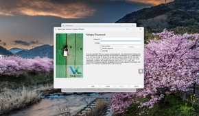 Screenshot of prompt to create a password for volume in VeraCrypt
