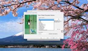 Selecting the encryption algorithm in VeraCrypt