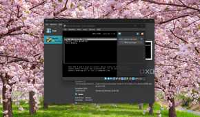 Starting VirtualBox virtual machine on Windows 11