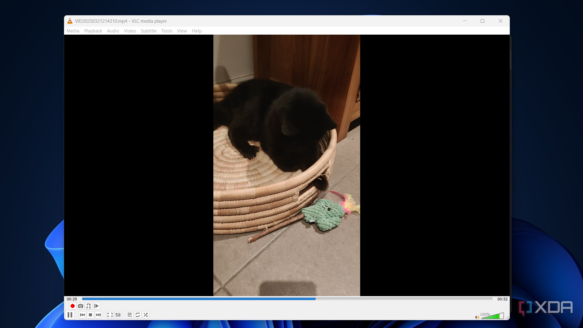 a video of a cat being played in vlc