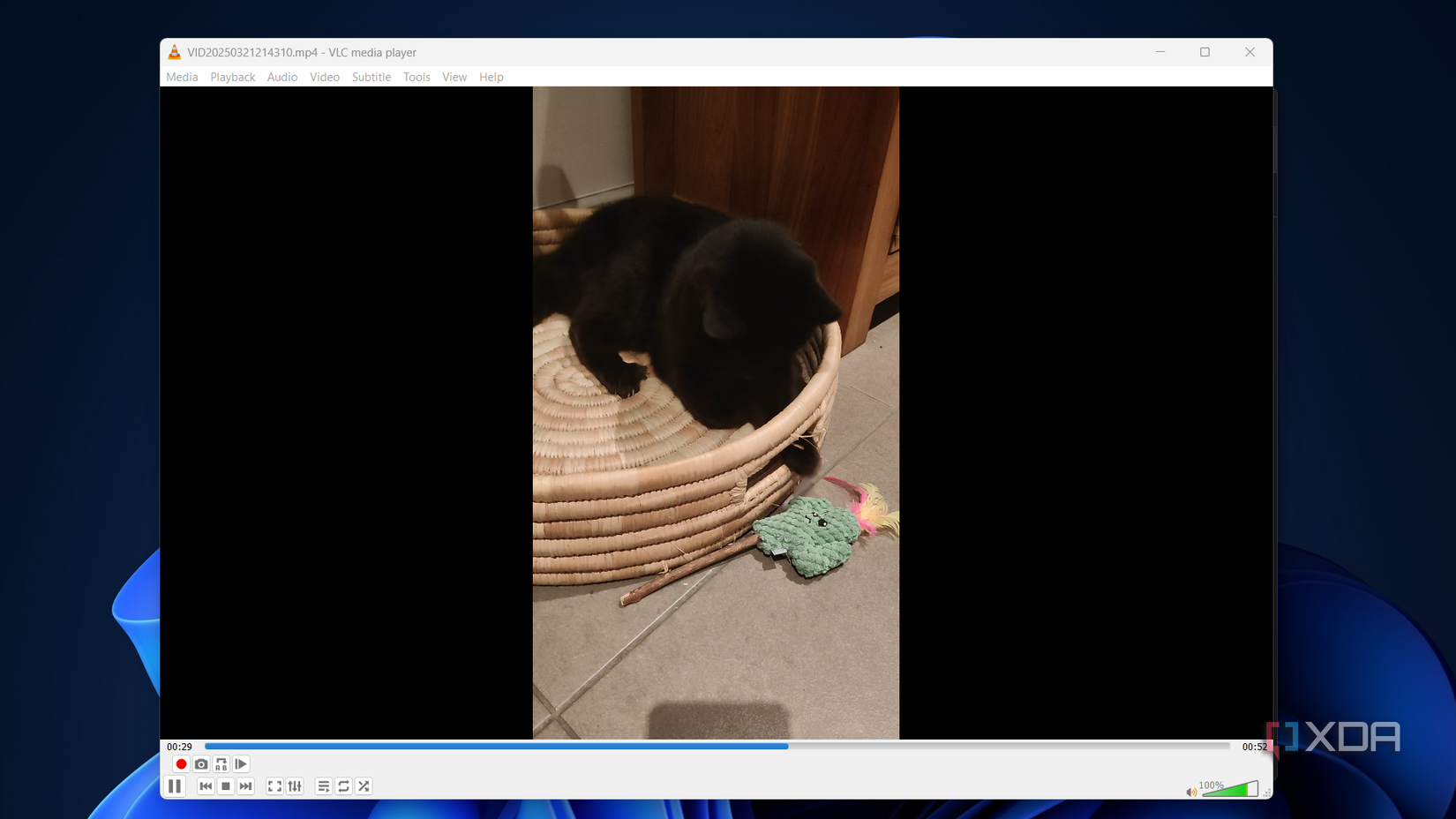 a video of a cat being played in vlc