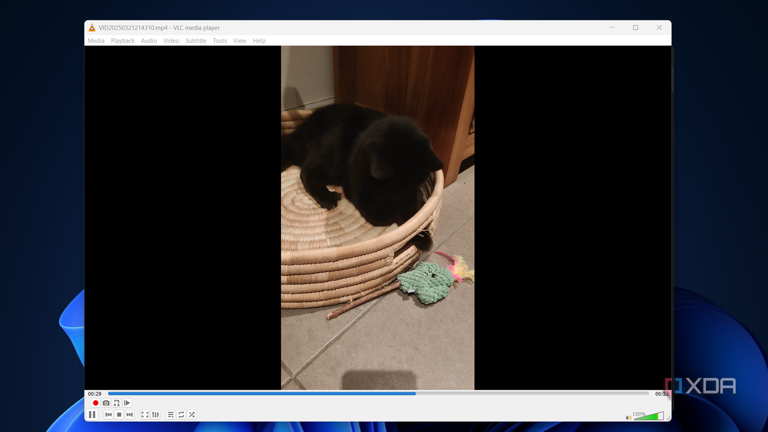 a video of a cat being played in vlc
