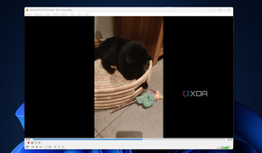 a video of a cat being played in vlc