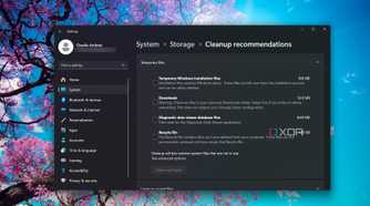 Checking the Cleanup-recommendations on Windows 11 Settings