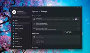 Checking the Windows 11 Storage Sense feature