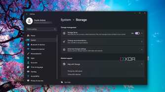 Checking the Windows 11 Storage Sense feature