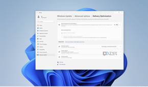 Screenshot of Windows Update delivery optimization page showing that downloads from other devices are disabled