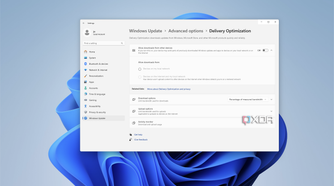 Screenshot of Windows Update delivery optimization page showing that downloads from other devices are disabled