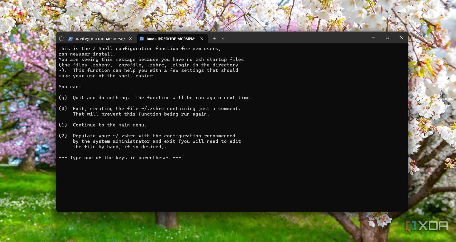 ZSH configuration on WSL