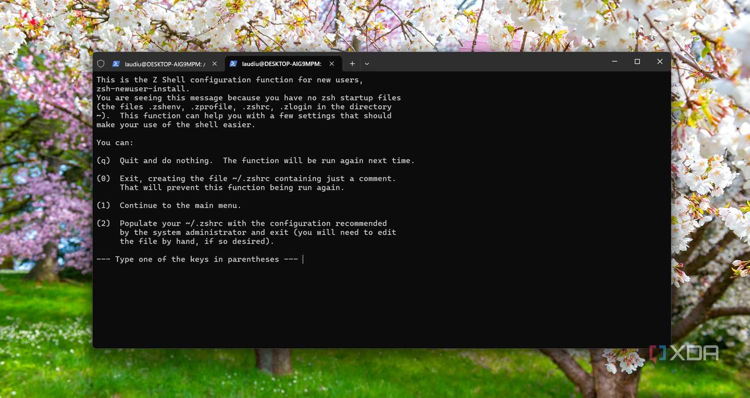 ZSH configuration on WSL