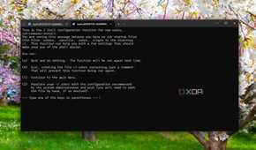 ZSH configuration on WSL