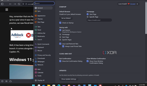 Shows Vivaldi preferences for the browser