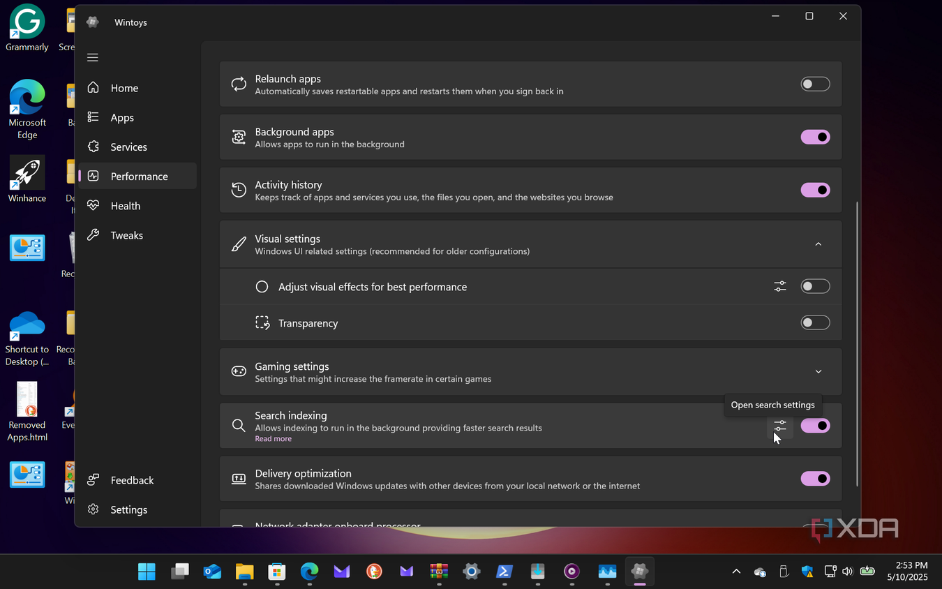Shows Performance section to tweak Windows in wintoys